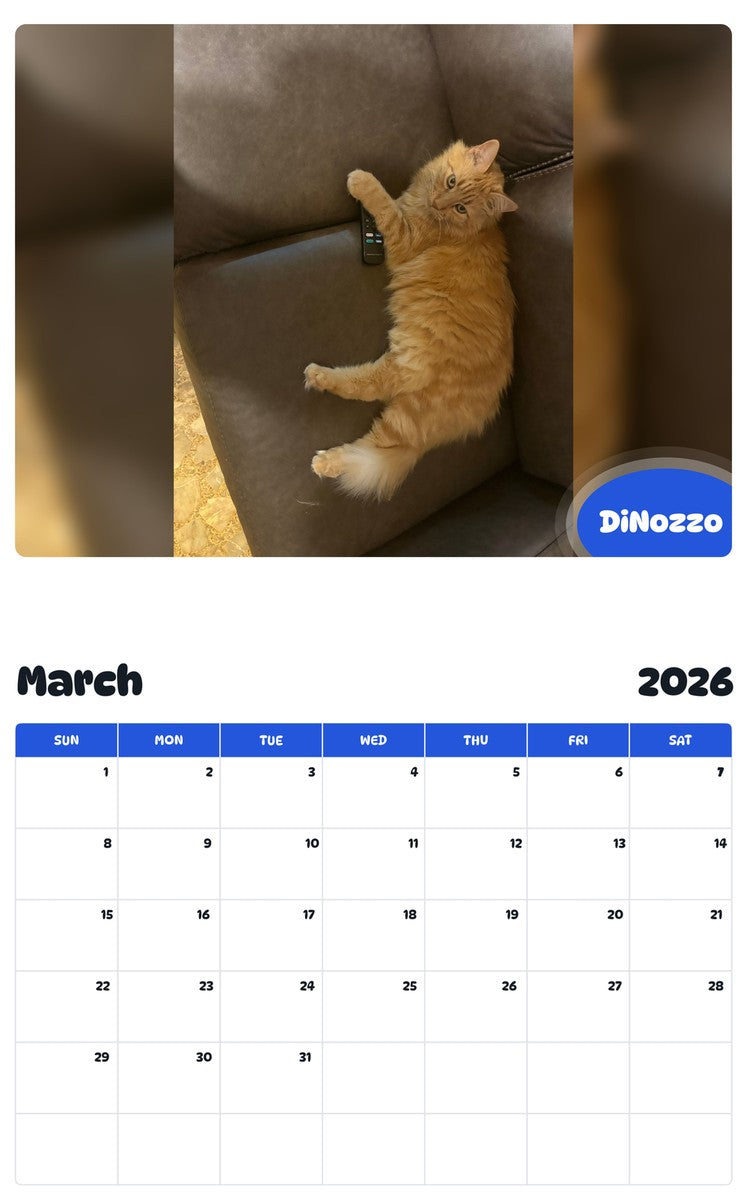 November 2025 - October 2026 DiNozzo - Pawidols Pet Calendar