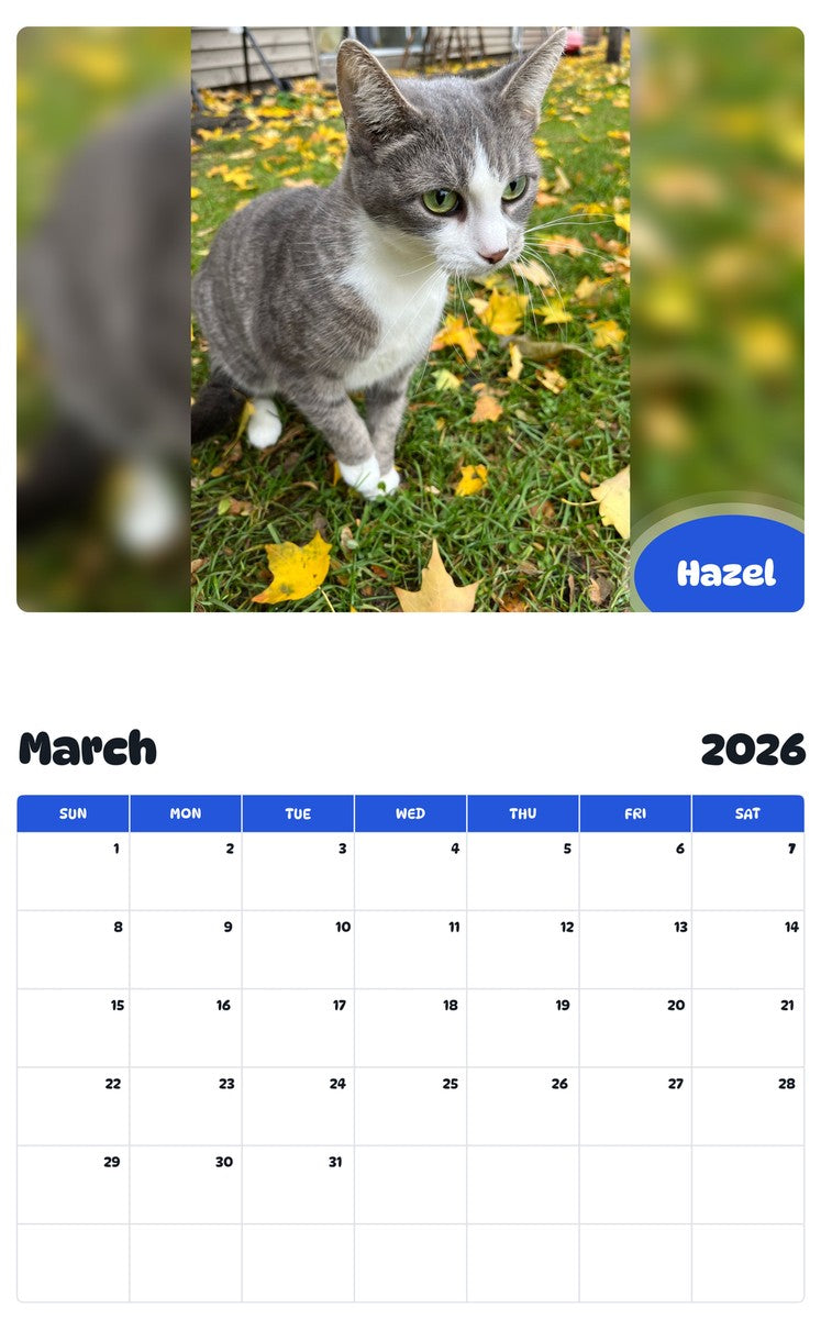 November 2025 - October 2026 Hazel - Pawidols Pet Calendar