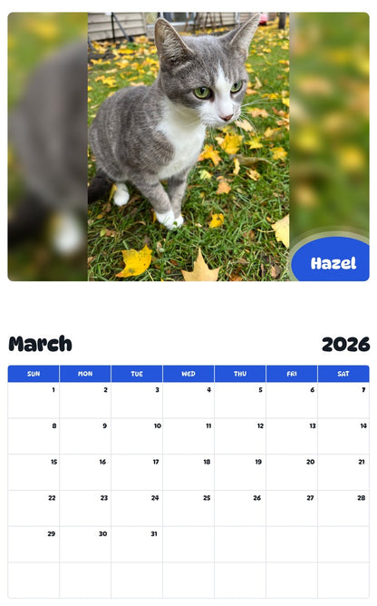 November 2025 - October 2026 Hazel - Pawidols Pet Calendar