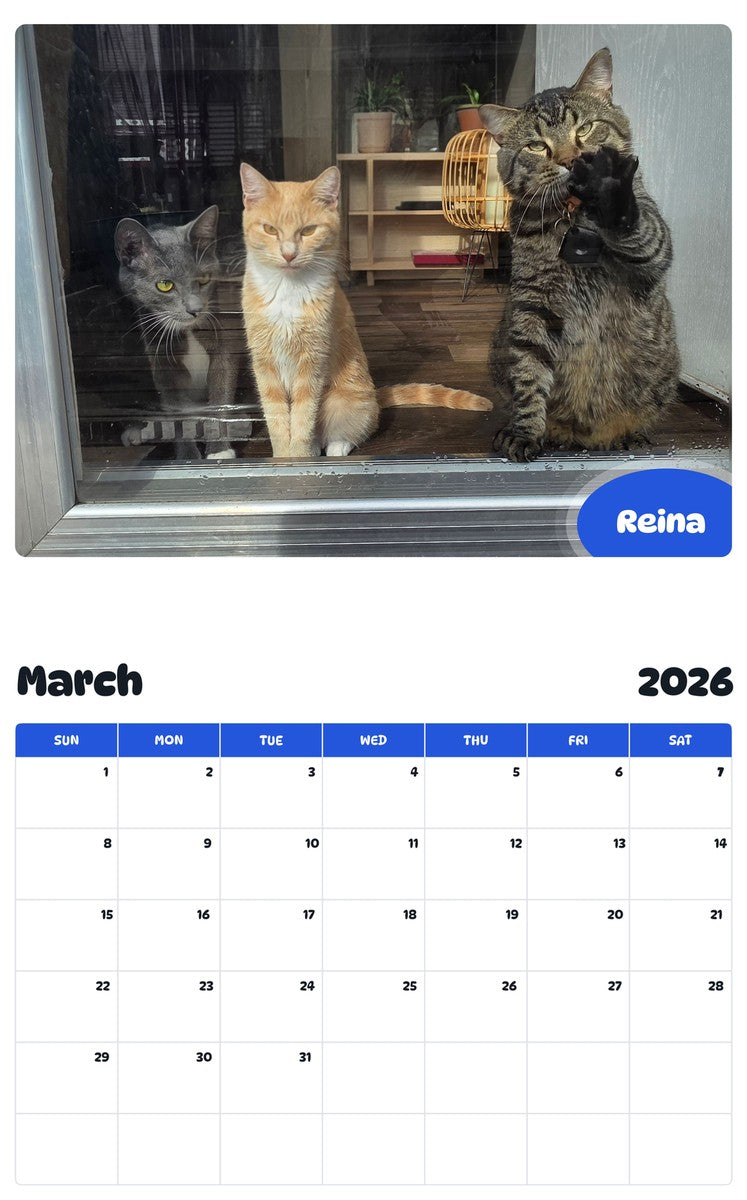 November 2025 - October 2026 Reina - Pawidols Pet Calendar