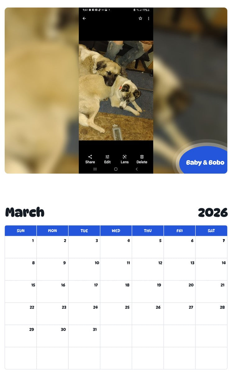 November 2025 - October 2026 Baby & Bobo - Pawidols Pet Calendar