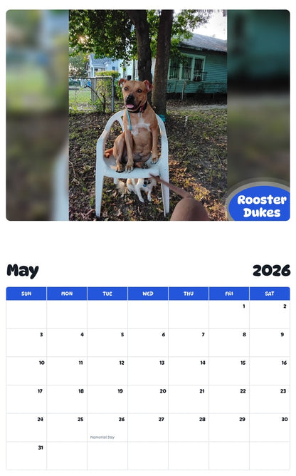 2026 - 2027 Rooster Dukes - Pawidols Pet Calendar