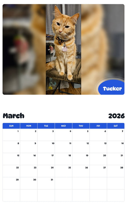 November 2025 - October 2026 Tucker - Pawidols Pet Calendar
