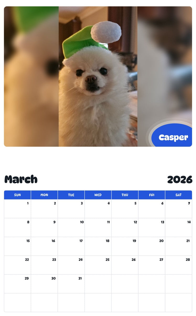 November 2025 - October 2026 Casper - Pawidols Pet Calendar