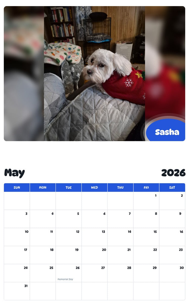 2026 - 2027 Sasha - Pawidols Pet Calendar