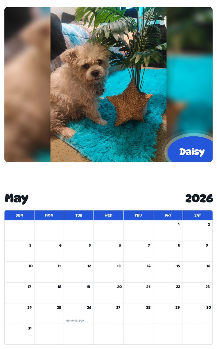 2026 - 2027 Daisy - Pawidols Pet Calendar