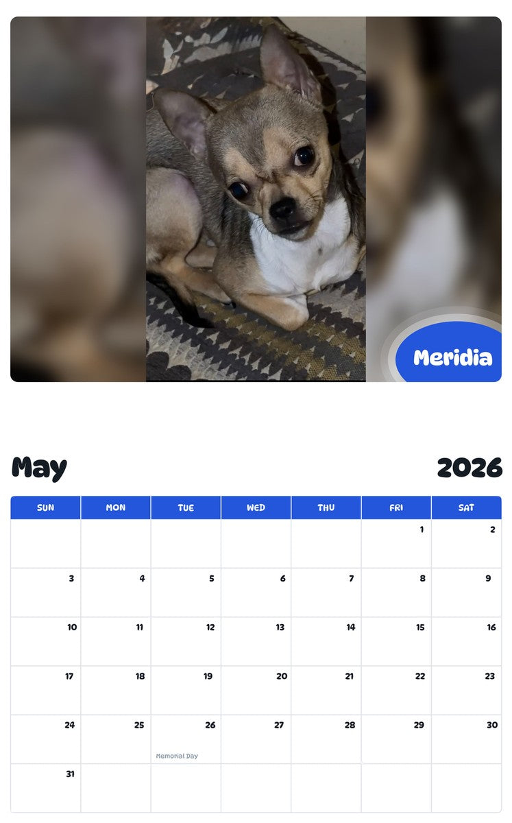 2026 - 2027 Meridia - Pawidols Pet Calendar