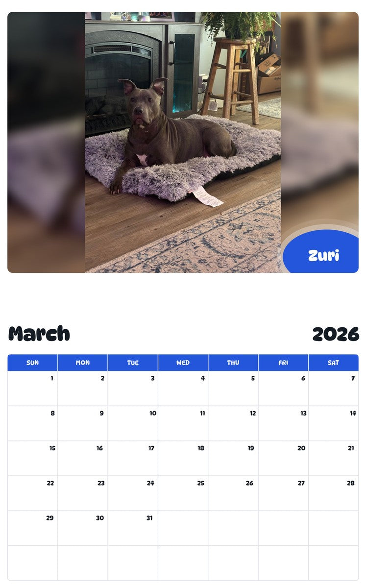 November 2025 - October 2026 Zuri - Pawidols Pet Calendar