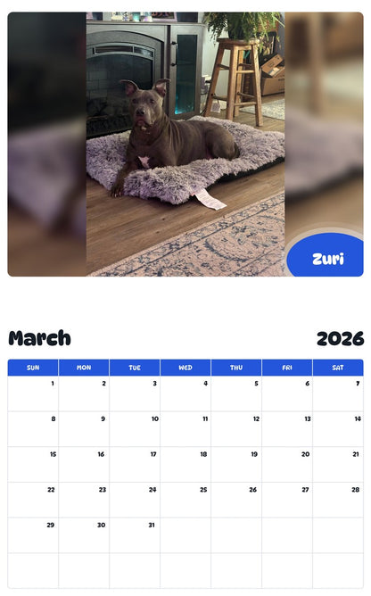 November 2025 - October 2026 Zuri - Pawidols Pet Calendar