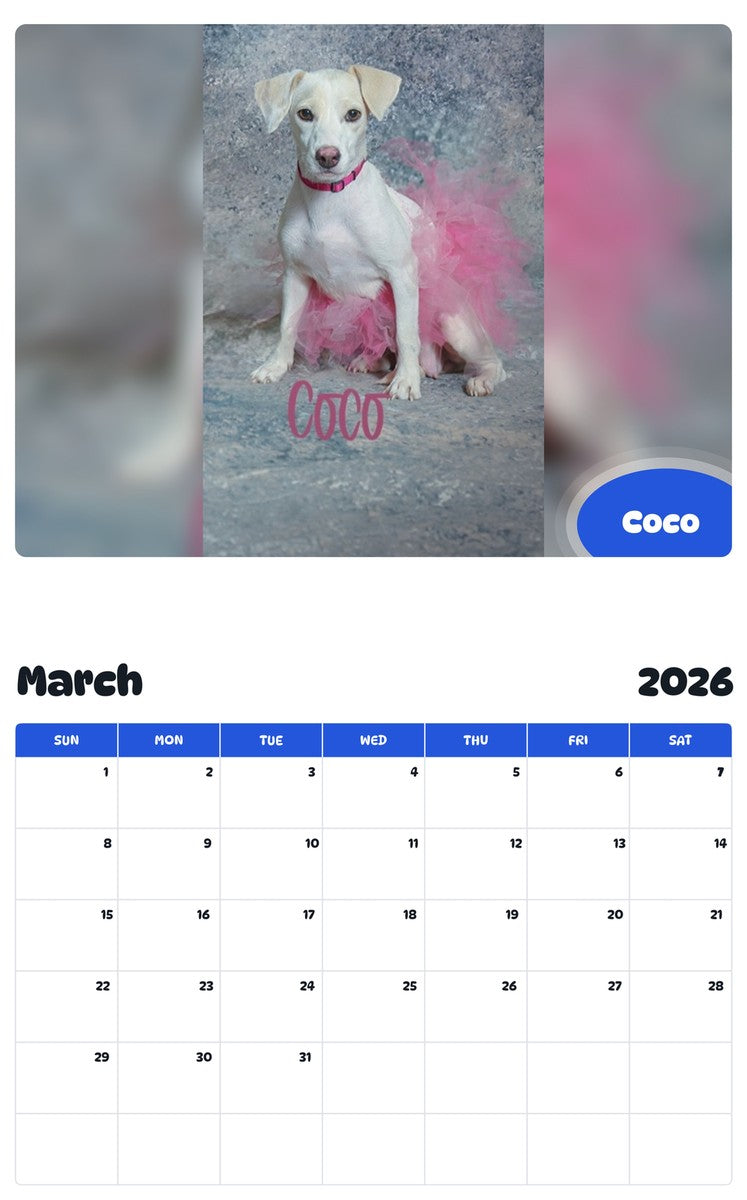 November 2025 - October 2026 Coco - Pawidols Pet Calendar