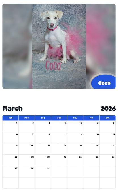 November 2025 - October 2026 Coco - Pawidols Pet Calendar