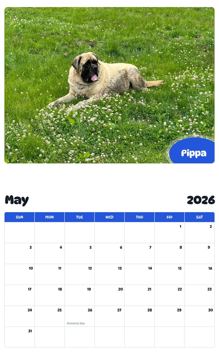 2026 - 2027 Pippa - Pawidols Pet Calendar
