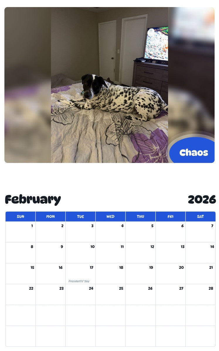 October 2025 - September 2026 Chaos - Pawidols Pet Calendar