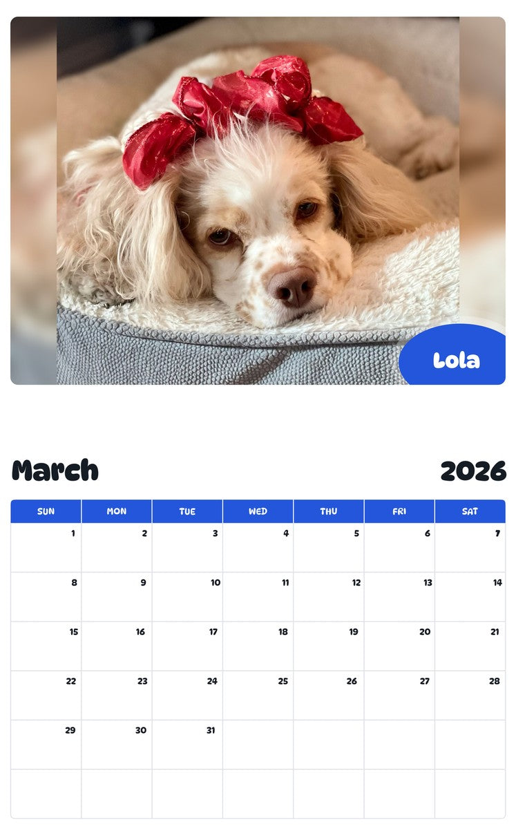 November 2025 - October 2026 Lola - Pawidols Pet Calendar