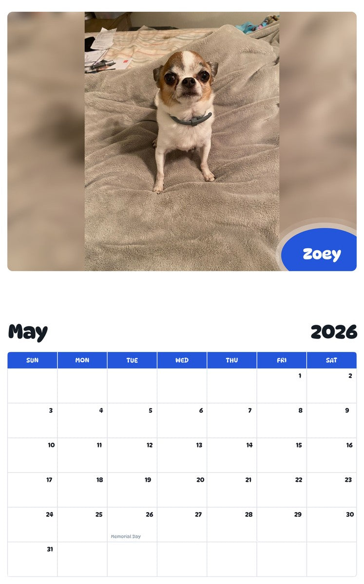 2026 - 2027 Zoey - Pawidols Pet Calendar