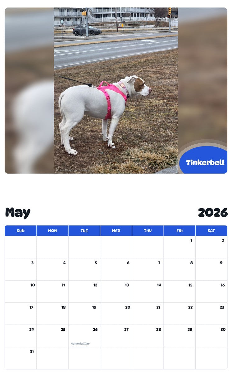 2026 - 2027 Tinkerbell - Pawidols Pet Calendar