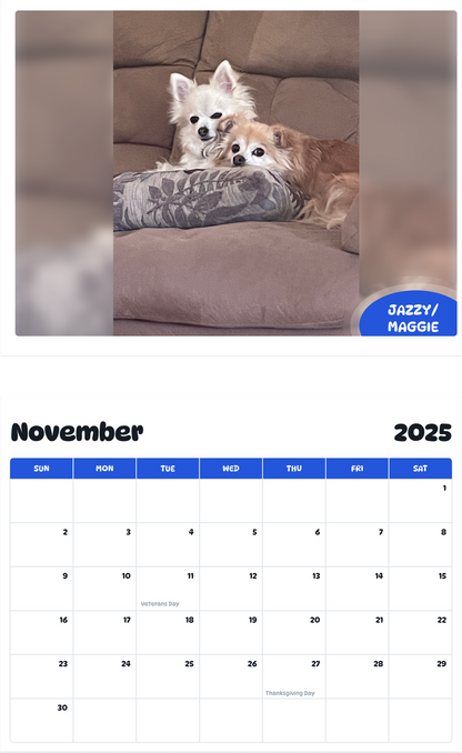 July 2025 - June 2026 Jazzy/maggie - Pawidols Pet Calendar