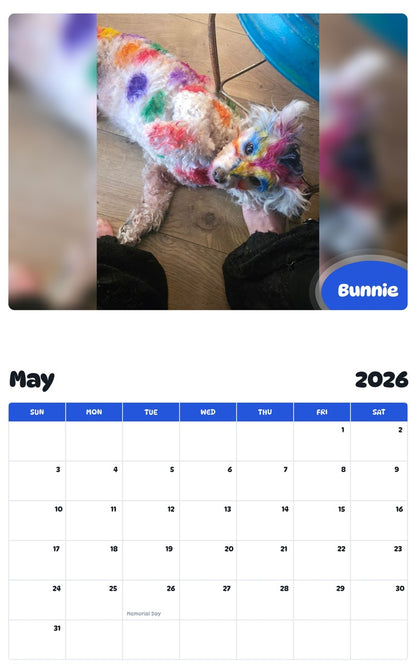 2026 - 2027 Bunnie - Pawidols Pet Calendar