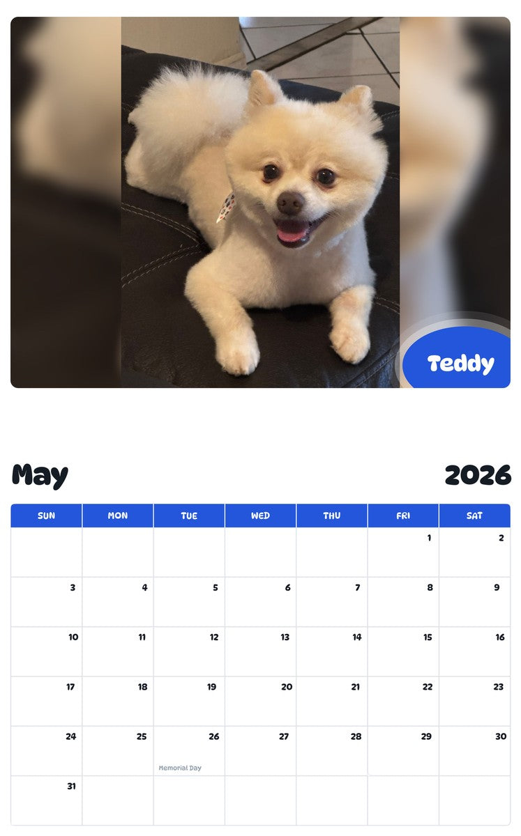 2026 - 2027 Teddy - Pawidols Pet Calendar
