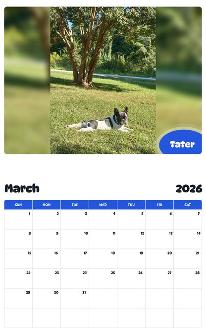 November 2025 - October 2026 Tater - Pawidols Pet Calendar
