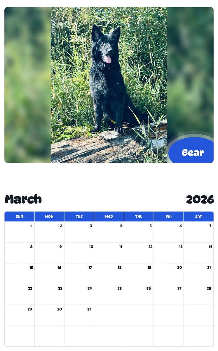 November 2025 - October 2026 Bear - Pawidols Pet Calendar