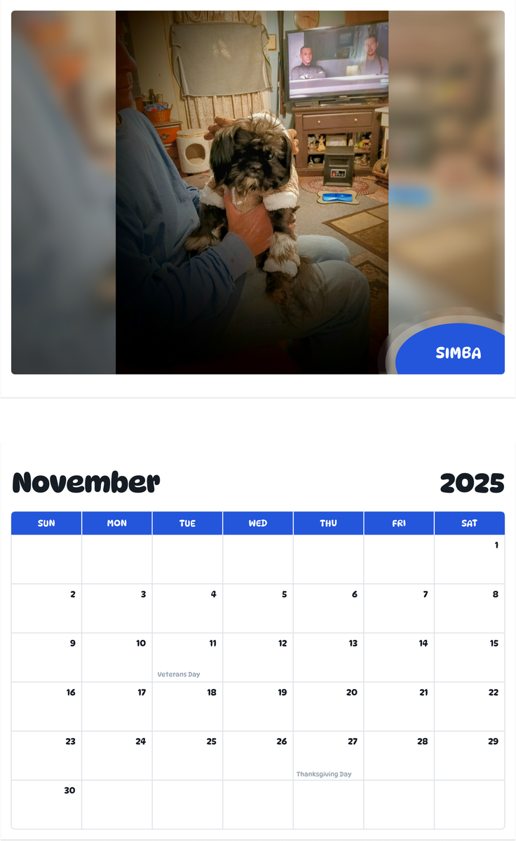 July 2025 - June 2026 Simba - Pawidols Pet Calendar