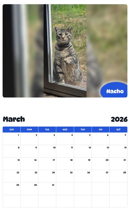 November 2025 - October 2026 Nacho - Pawidols Pet Calendar