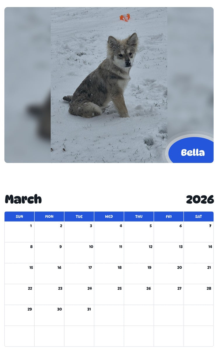 November 2025 - October 2026 Bella - Pawidols Pet Calendar