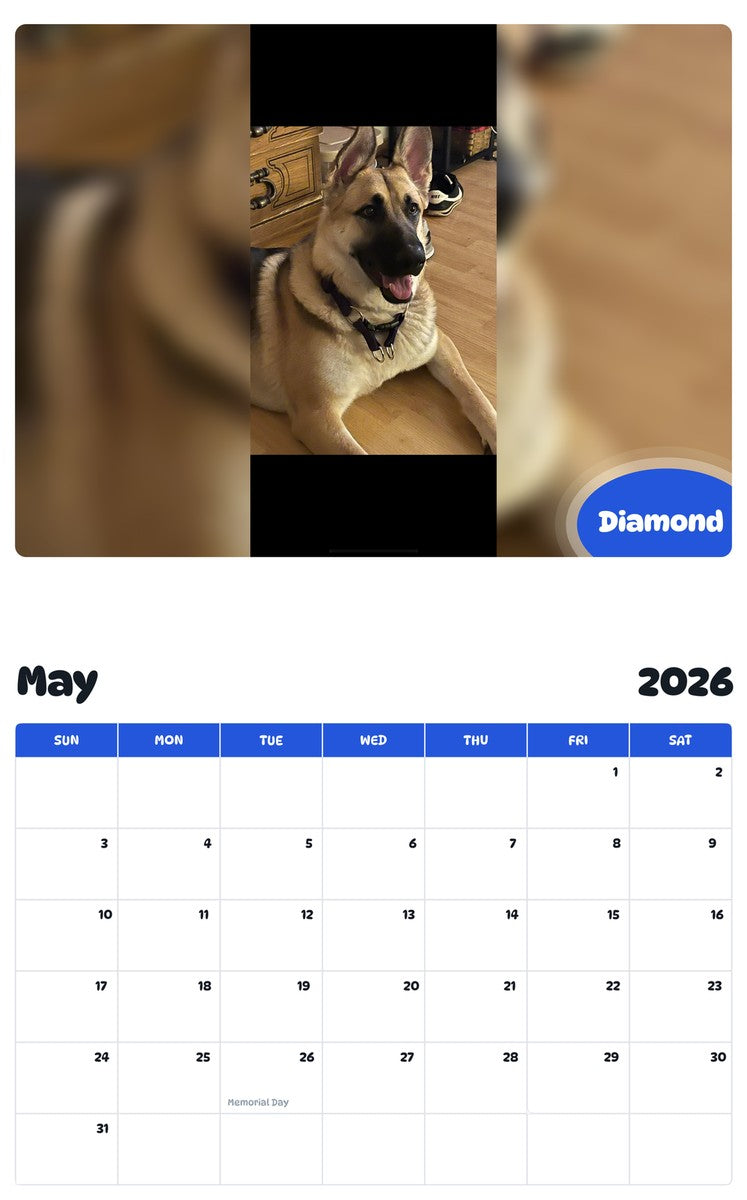 2026 - 2027 Diamond - Pawidols Pet Calendar