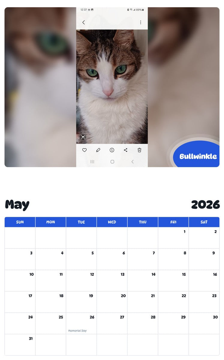 2026 - 2027 Bullwinkle - Pawidols Pet Calendar