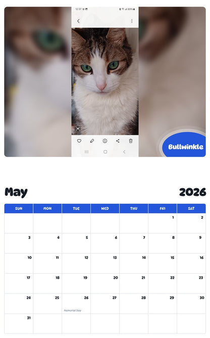 2026 - 2027 Bullwinkle - Pawidols Pet Calendar