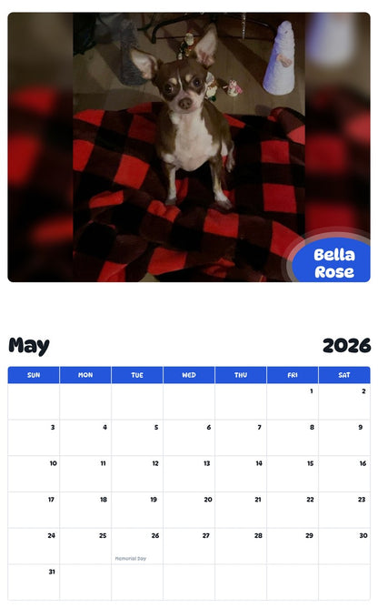 2026 - 2027 Bella Rose - Pawidols Pet Calendar