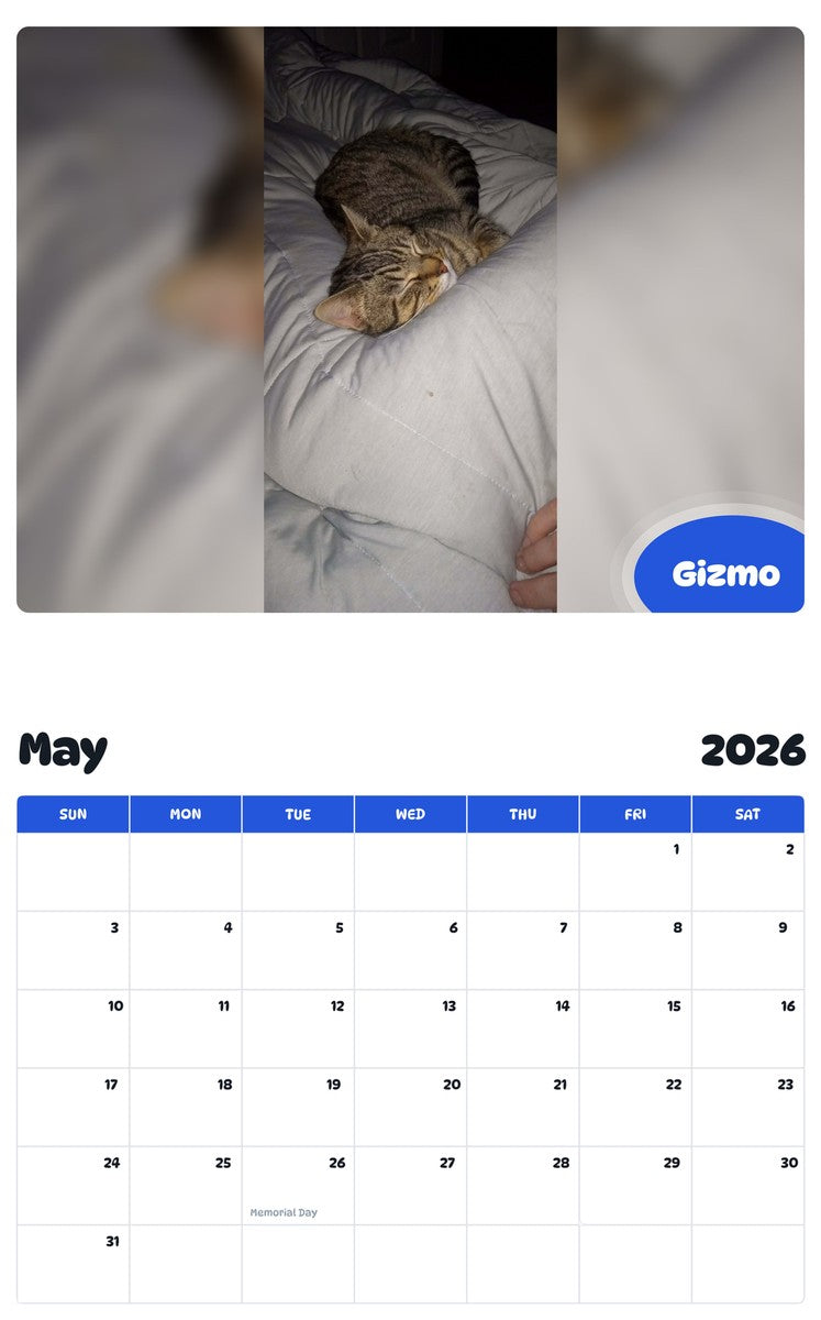 2026 - 2027 Gizmo - Pawidols Pet Calendar