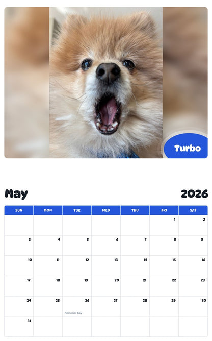 2026 - 2027 Turbo - Pawidols Pet Calendar