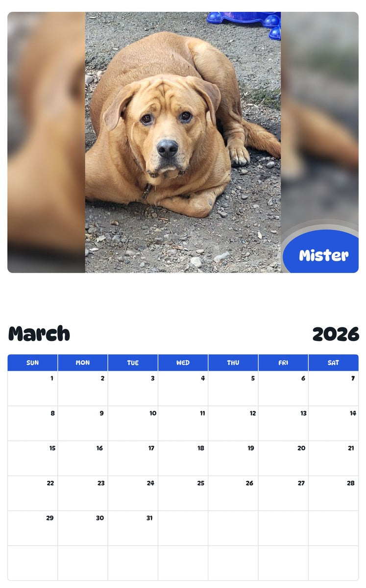 November 2025 - October 2026 Mister - Pawidols Pet Calendar