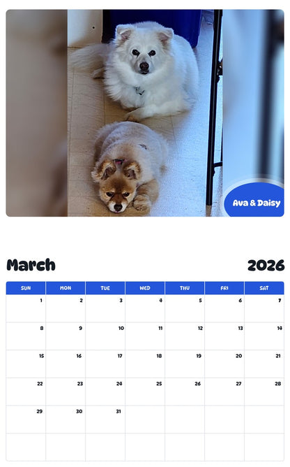 November 2025 - October 2026 Ava & Daisy - Pawidols Pet Calendar