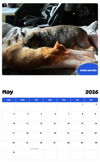 2026 - 2027 Sockz and Milo - Pawidols Pet Calendar