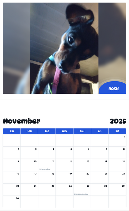 July 2025 - June 2026 Rosie - Pawidols Pet Calendar