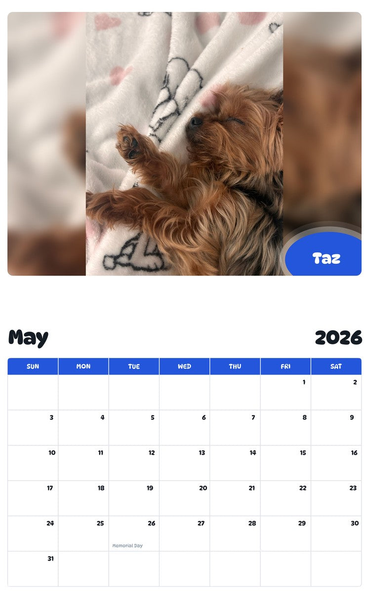 2026 - 2027 Taz - Pawidols Pet Calendar