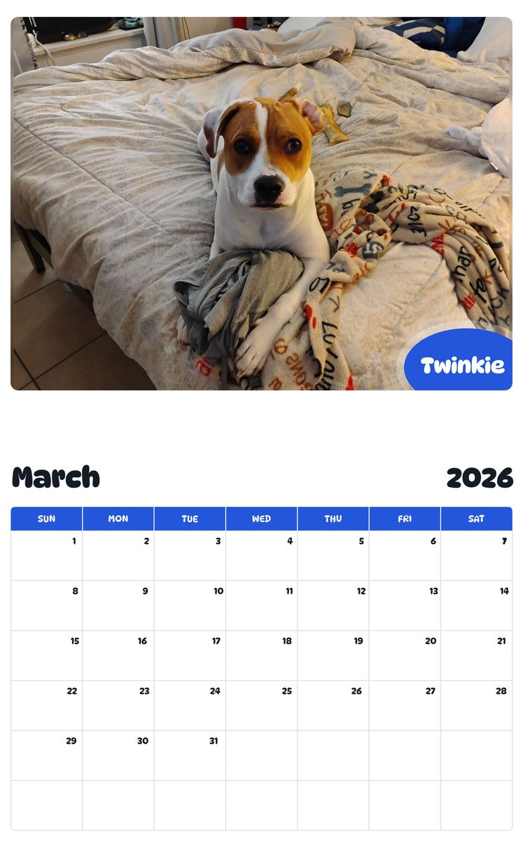November 2025 - October 2026 Twinkie - Pawidols Pet Calendar