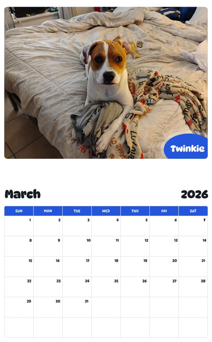 November 2025 - October 2026 Twinkie - Pawidols Pet Calendar