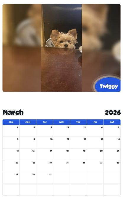 November 2025 - October 2026 Twiggy - Pawidols Pet Calendar