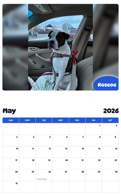 2026 - 2027 Roscoe - Pawidols Pet Calendar