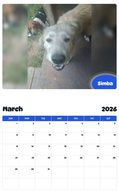 November 2025 - October 2026 Simba - Pawidols Pet Calendar