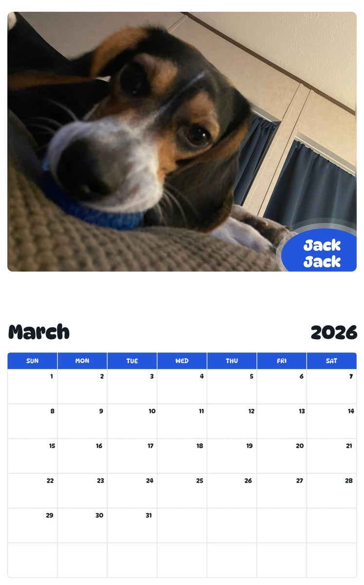 November 2025 - October 2026 Jack Jack - Pawidols Pet Calendar