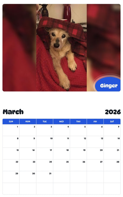 November 2025 - October 2026 Ginger - Pawidols Pet Calendar