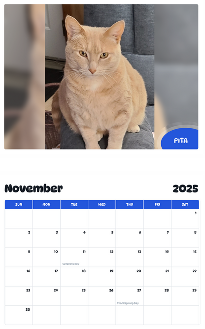 July 2025 - June 2026 Pita - Pawidols Pet Calendar