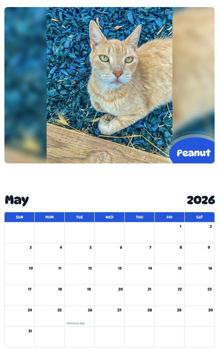 2026 - 2027 Peanut - Pawidols Pet Calendar