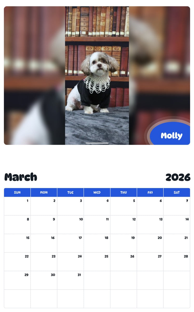 November 2025 - October 2026 Molly - Pawidols Pet Calendar