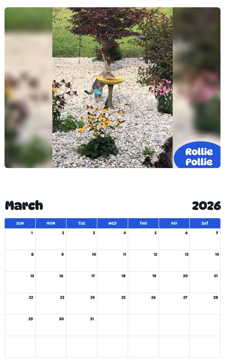 November 2025 - October 2026 Rollie Pollie - Pawidols Pet Calendar